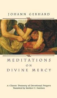 bokomslag Meditations on Divine Mercy