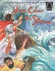 bokomslag Jesus Calms the Storm