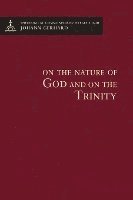 bokomslag On The Nature Of God And On The Trinity