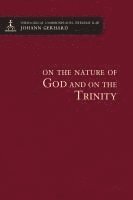 bokomslag On The Nature Of God And On The Trinity - Theological Commonplaces