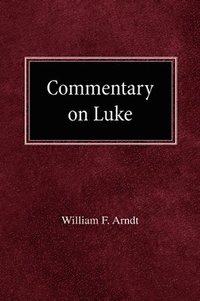 bokomslag Commentary on Luke