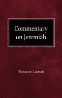 bokomslag Commentary On Jeremiah