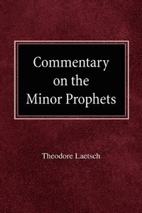 bokomslag Commentary on the Minor Prophets