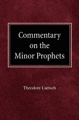 Commentary on the Minor Prophets 1