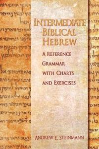 bokomslag Intermediate Biblical Hebrew