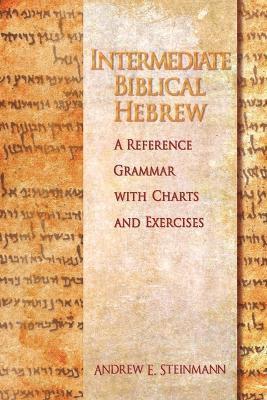 bokomslag Intermediate Biblical Hebrew