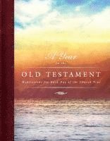 bokomslag A Year in the Old Testament