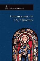 bokomslag Commentary on 1 & 2 Timothy