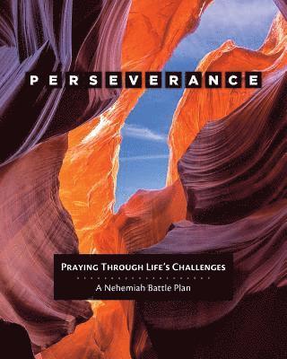 Perseverance 1