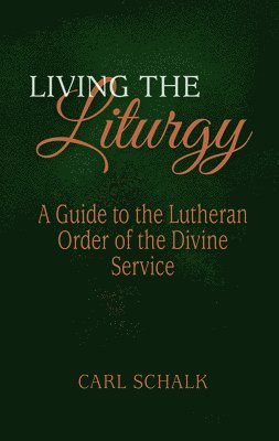 bokomslag Living the Liturgy