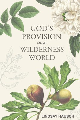 Lindsay Hausch - God's Provision in a Wilderness World, Häftad