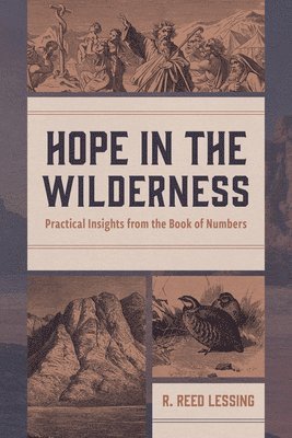 R. Reed Lessing - Hope in the Wilderness, Häftad
