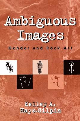 Kelley Hays-Gilpin - Ambiguous Images, Häftad