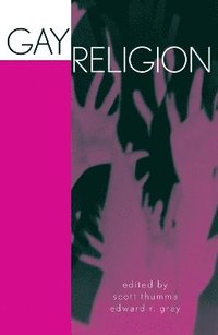 bokomslag Gay Religion
