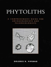 bokomslag Phytoliths