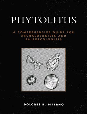 Phytoliths 1