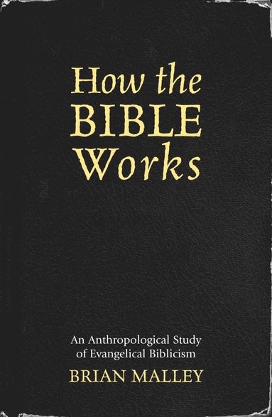 bokomslag How the Bible Works