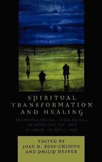 bokomslag Spiritual Transformation and Healing