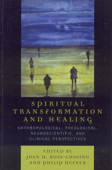 Joan D. Koss-Chioino, Philip Hefner - Spiritual Transformation and Healing, Häftad