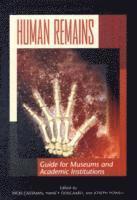 Human Remains 1
