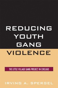 bokomslag Reducing Youth Gang Violence