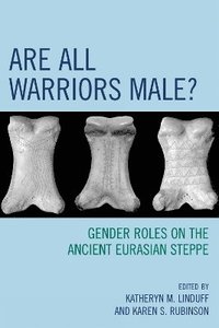 bokomslag Are All Warriors Male?