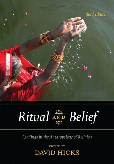 David Hicks - Ritual and Belief, Häftad