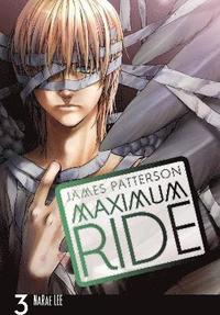 bokomslag Maximum Ride: The Manga, Vol. 3