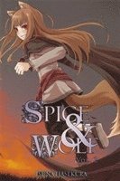 bokomslag Spice and Wolf, Vol. 2 (light novel)