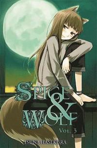 bokomslag Spice and Wolf, Vol. 3 (light novel)