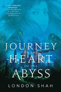 bokomslag Journey to the Heart of the Abyss