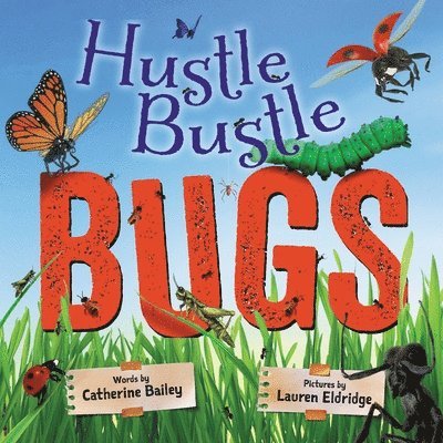 Hustle Bustle Bugs 1