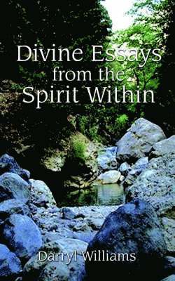 Darryl Williams - Divine Essays from the Spirit within, Häftad