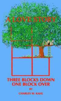 bokomslag Three Blocks Down One Block Over