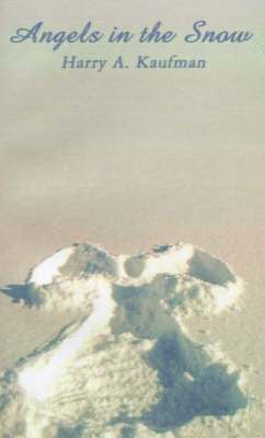bokomslag Angels in the Snow