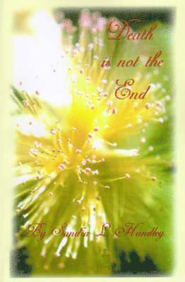 Death is Not the End 1