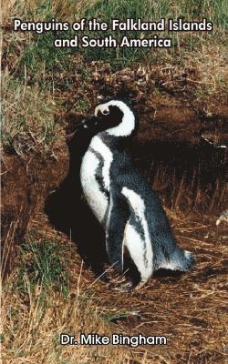 Mike Bingham, Dr. Mike Bingham - Penguins of the Falkland Islands and South America, Häftad