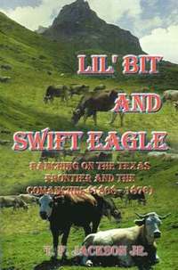 bokomslag Lil' Bit and Swift Eagle