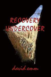 bokomslag Recovery Undercover