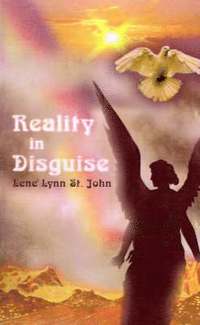 bokomslag Reality in Disguise