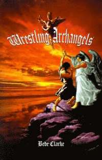 bokomslag Wrestling Archangels