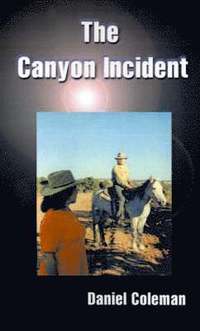 bokomslag The Canyon Incident