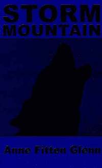 bokomslag Storm Mountain