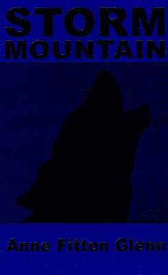 bokomslag Storm Mountain
