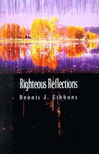 bokomslag Righteous Reflections