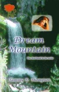 bokomslag Dream Mountain