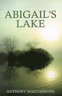 bokomslag Abigail's Lake