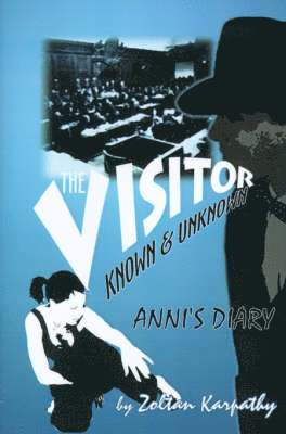 bokomslag Visitor (known and Unknown) Anni's Diary