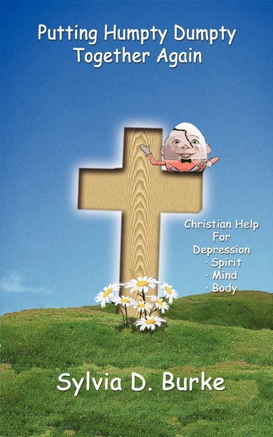 bokomslag Putting Humpty Dumpty Together Again