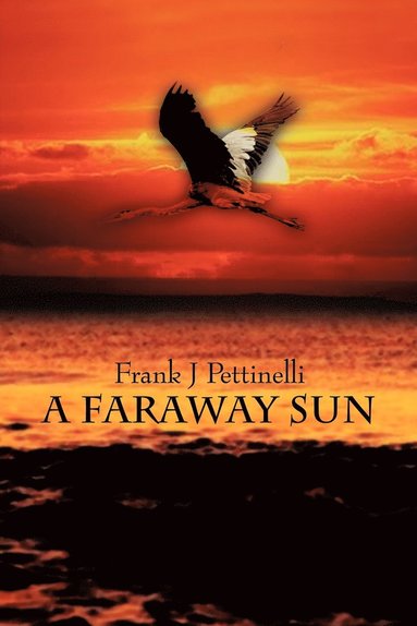 bokomslag Faraway Sun